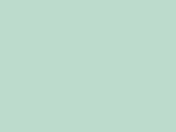 Pale Green Color Chip